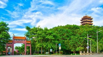 2019東莞 賣(mài)瘋啦 隆重來(lái)襲 開(kāi)發(fā)商自己都驚訝了