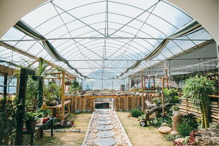 國(guó)慶放大招 百島洞頭十款精品主題游震撼來(lái)襲,準(zhǔn)備好接招了嗎