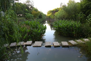 白象灣生態(tài)園景點電子門票 當日可訂