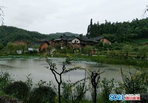 瀘州打造全國一流現代竹精品產業科技生態園區