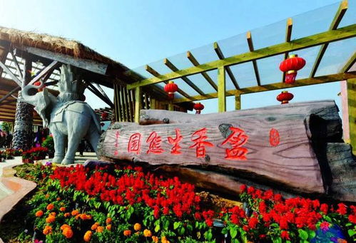 佛山團建公司 戶外定向探索盈香生態(tài)園