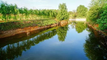 大新安又一個好玩的地兒 3000余畝的大型生態園,了解一下