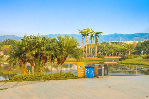 2025 08 04云南彌勒湖泉生態(tài)園 六