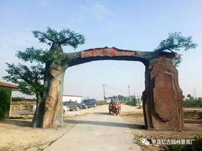 九龍?zhí)渡鷳B(tài)園大門設(shè)計制作——融合自然與人文的藝術(shù)表達