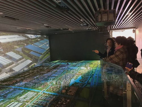 九龍?zhí)渡鷳B(tài)園四年簽約項目超百個，總投資額突破460億元，生態(tài)經(jīng)濟蓬勃發(fā)展