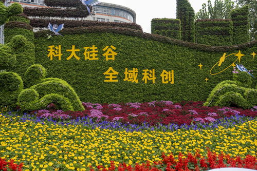 九龍?zhí)渡鷳B(tài)園與合肥150余個主題花展共繪生態(tài)園林城市新畫卷