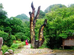 16周歲以下免票游世遺，668元泰寧雙動車2日游 大金湖、寨下大峽谷、九龍?zhí)?、尚書第全覽