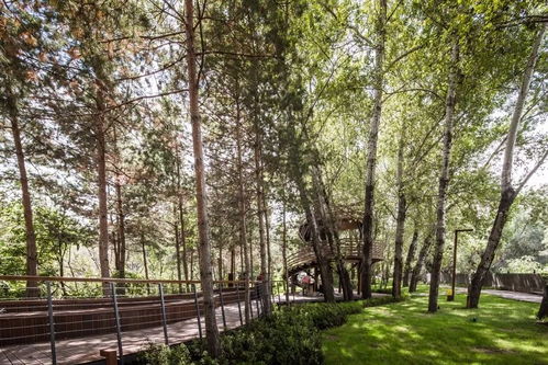 2018城市更新典范 九龍潭生態園的綠色新生