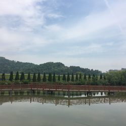 龍荷農業生態園與九龍潭生態園游覽指南 聯系方式、地址與營業時間