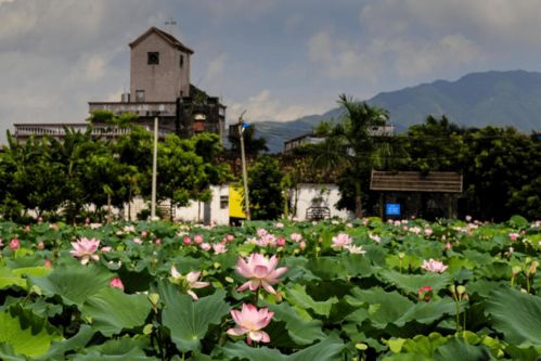 快看！博羅九龍潭生態園入選惠州市第二批鄉村旅游精品線路