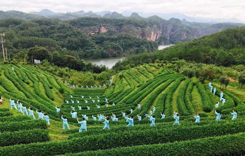 浴境元康養之氣，九龍潭生態園祝您端午安康